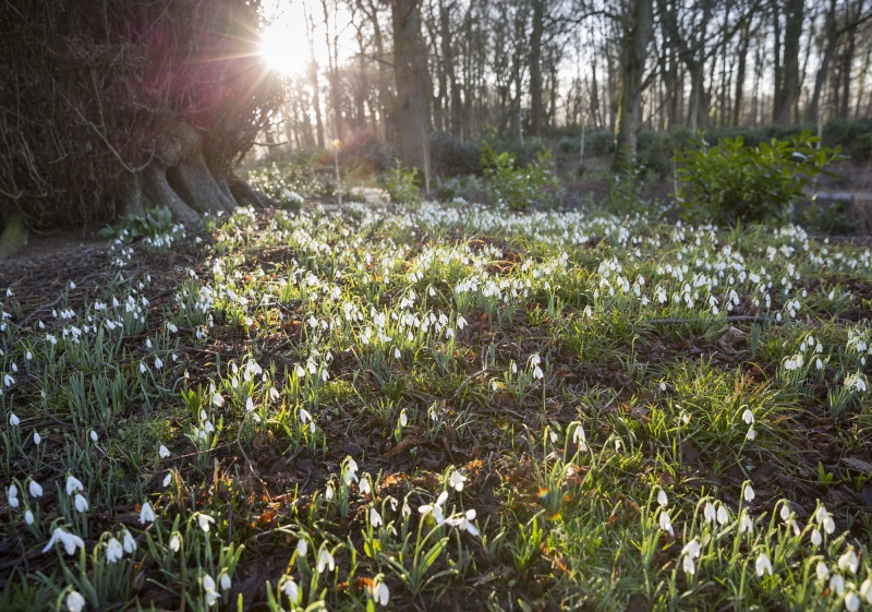 Kingston Lacy